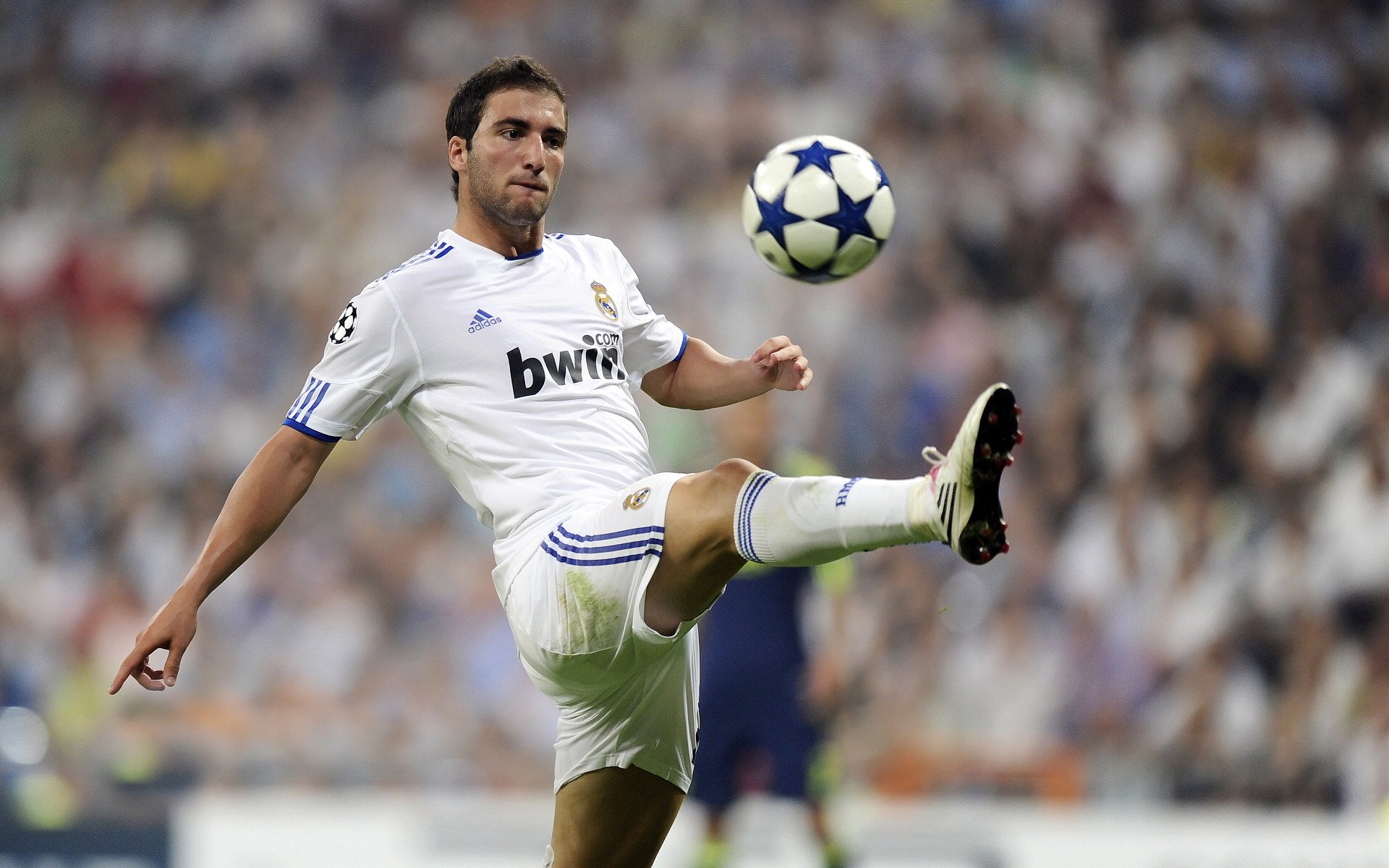 开云电竞入口-NBA球队票务动态定价系统实现案例